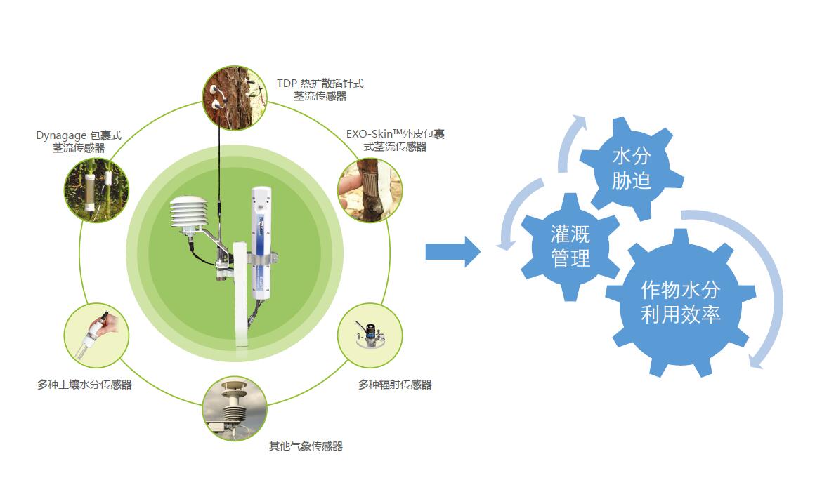 利用SapIP分布式植物生理生态监测系统能做哪些研究？