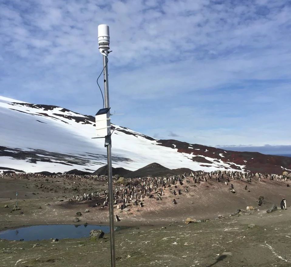 ZL6和一体式集成气象站ATMOS41首次安装在南极